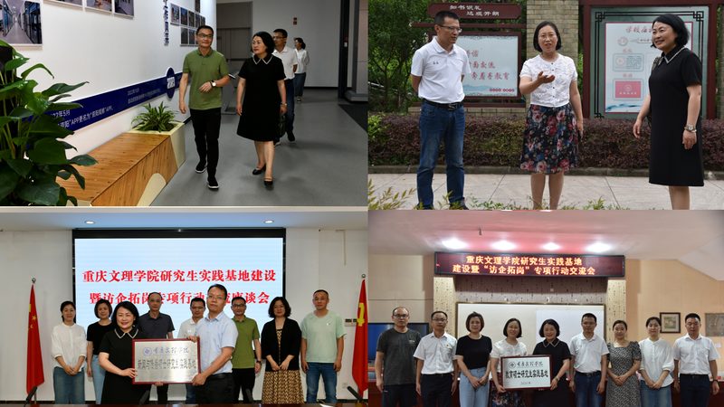 类型分类：了解不同背景布的特点